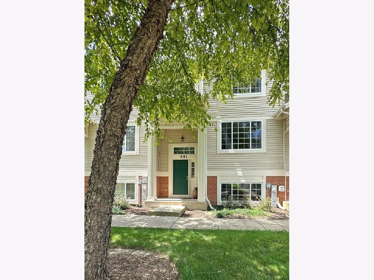 Townhomes & Condos & Homes Rented Cary Woods Cary Illinois, 451 Cary Woods