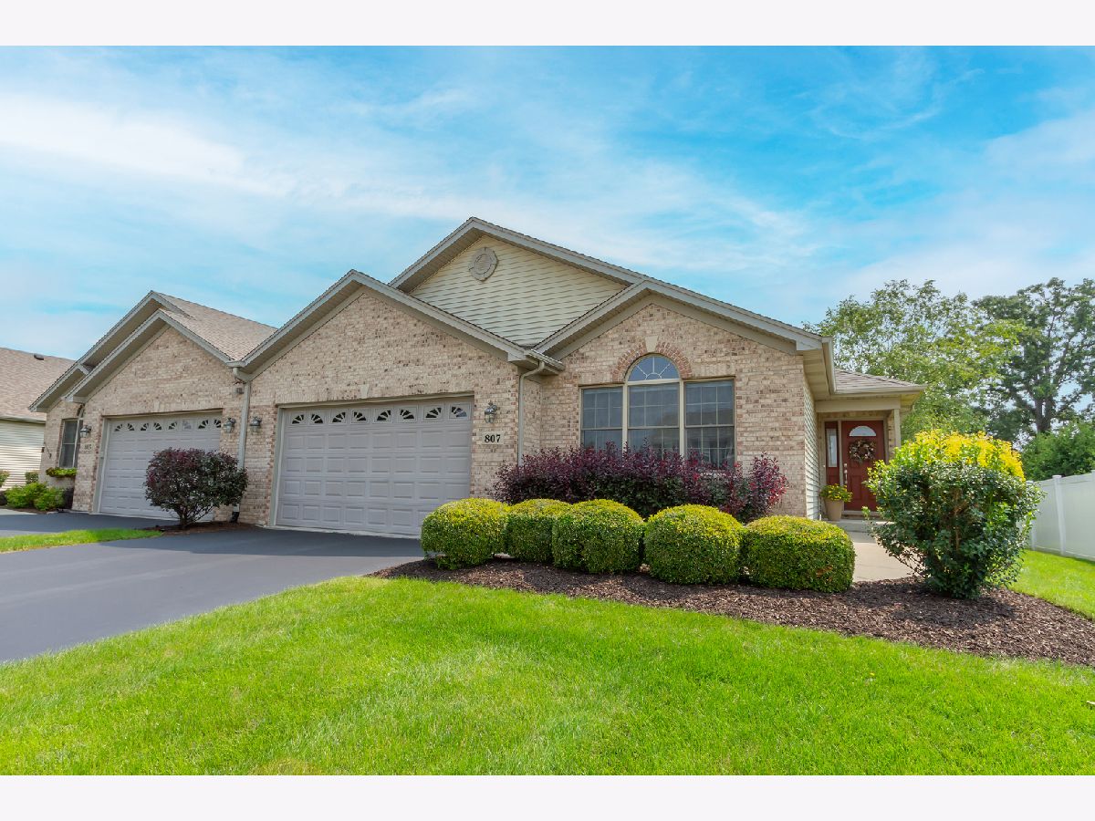 Homes & Condos & Townhomes Sold Hampshire Highlands Hampshire Illinois, 807 Karen