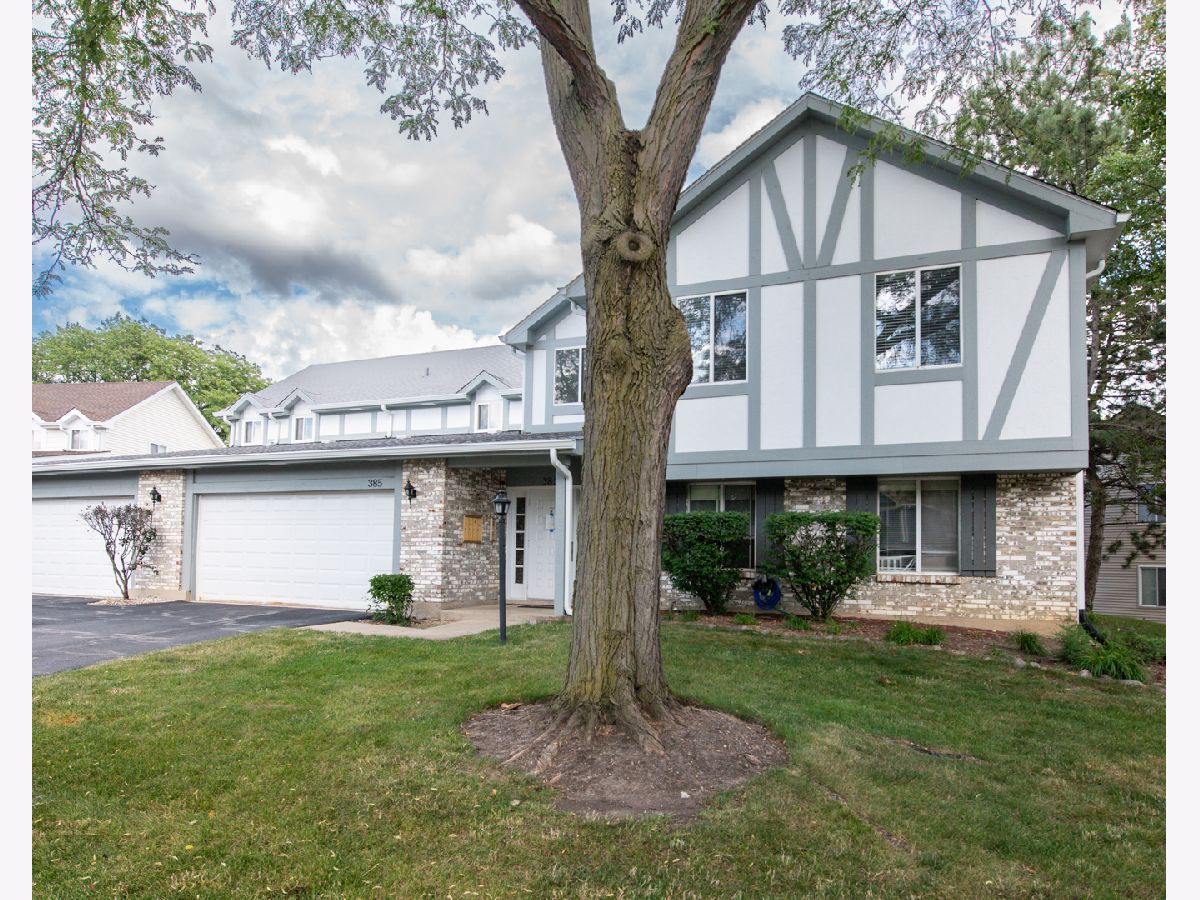 Condos & Townhomes & Homes Rented Springlake Aurora Illinois, 385 Springlake