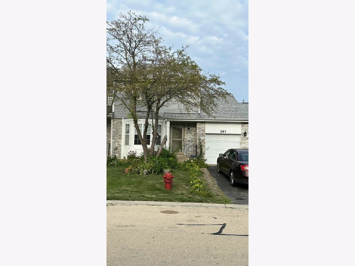 Townhomes & Homes Sold Honeytree Romeoville Illinois, 503 Six Pines