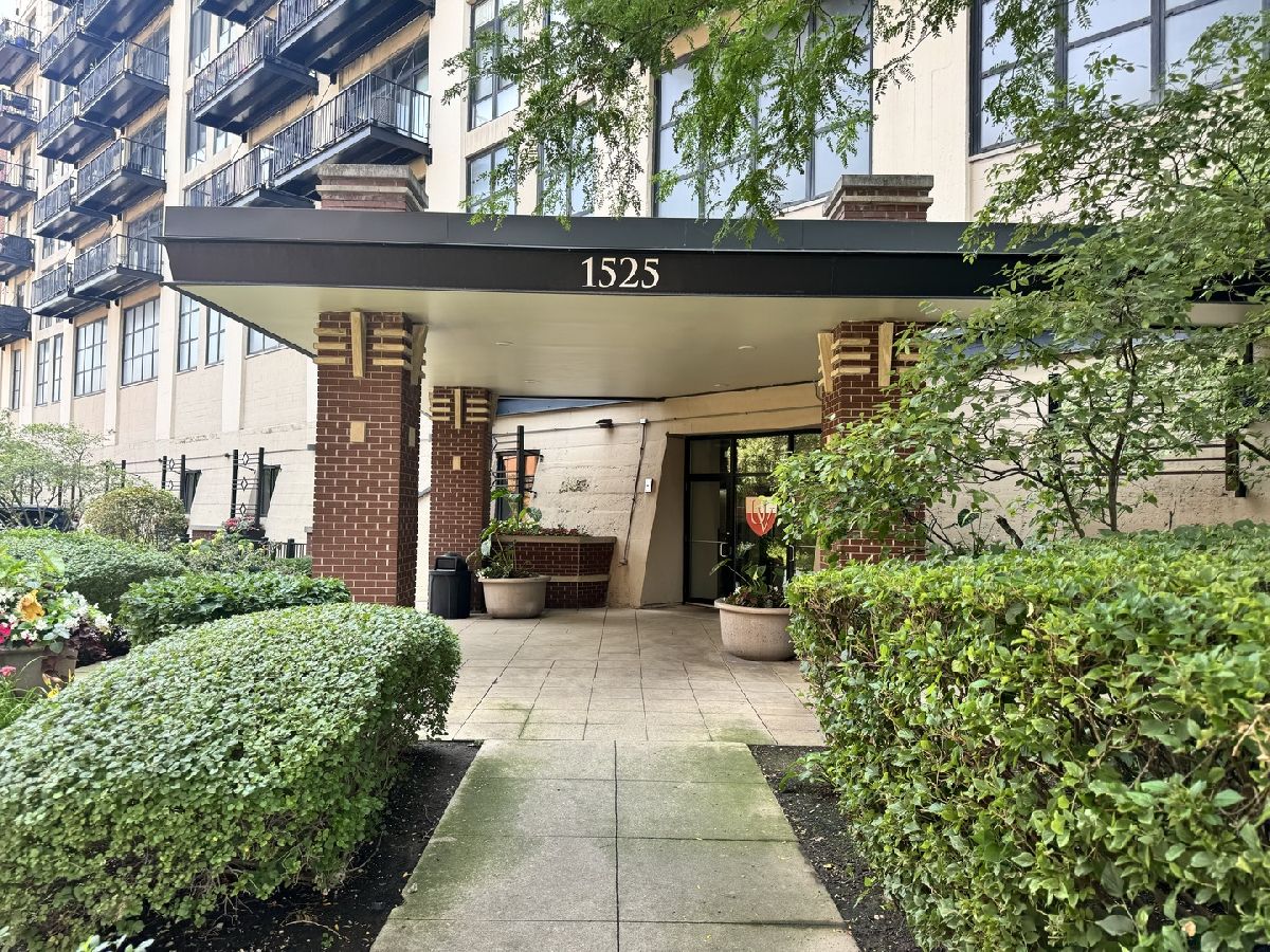 Condos & Townhomes & Homes Rented University Village Chicago Illinois, 1525 Sangamon