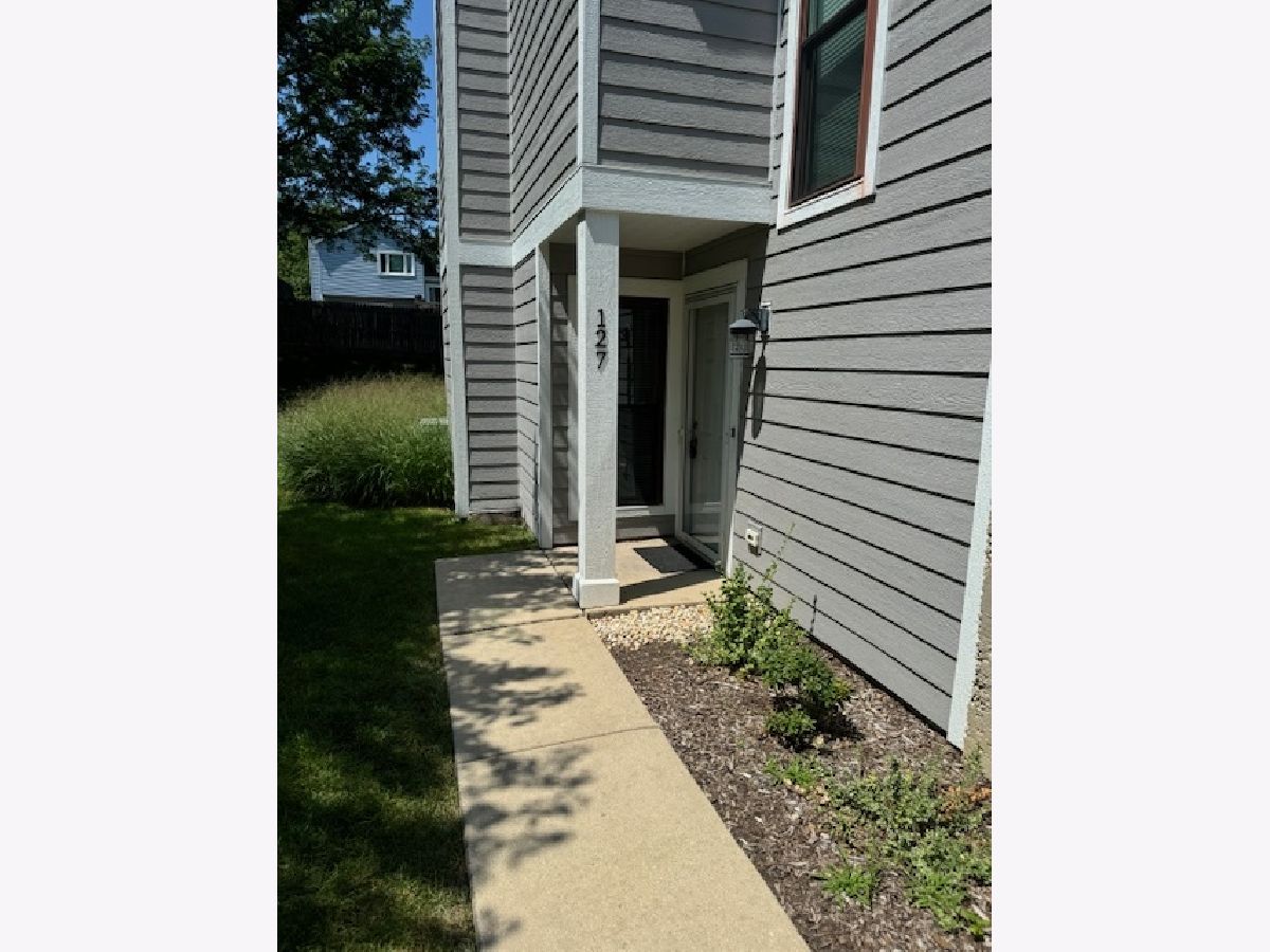 Townhomes & Condos & Homes Rented Summit Place Schaumburg Illinois, 127 Manchester