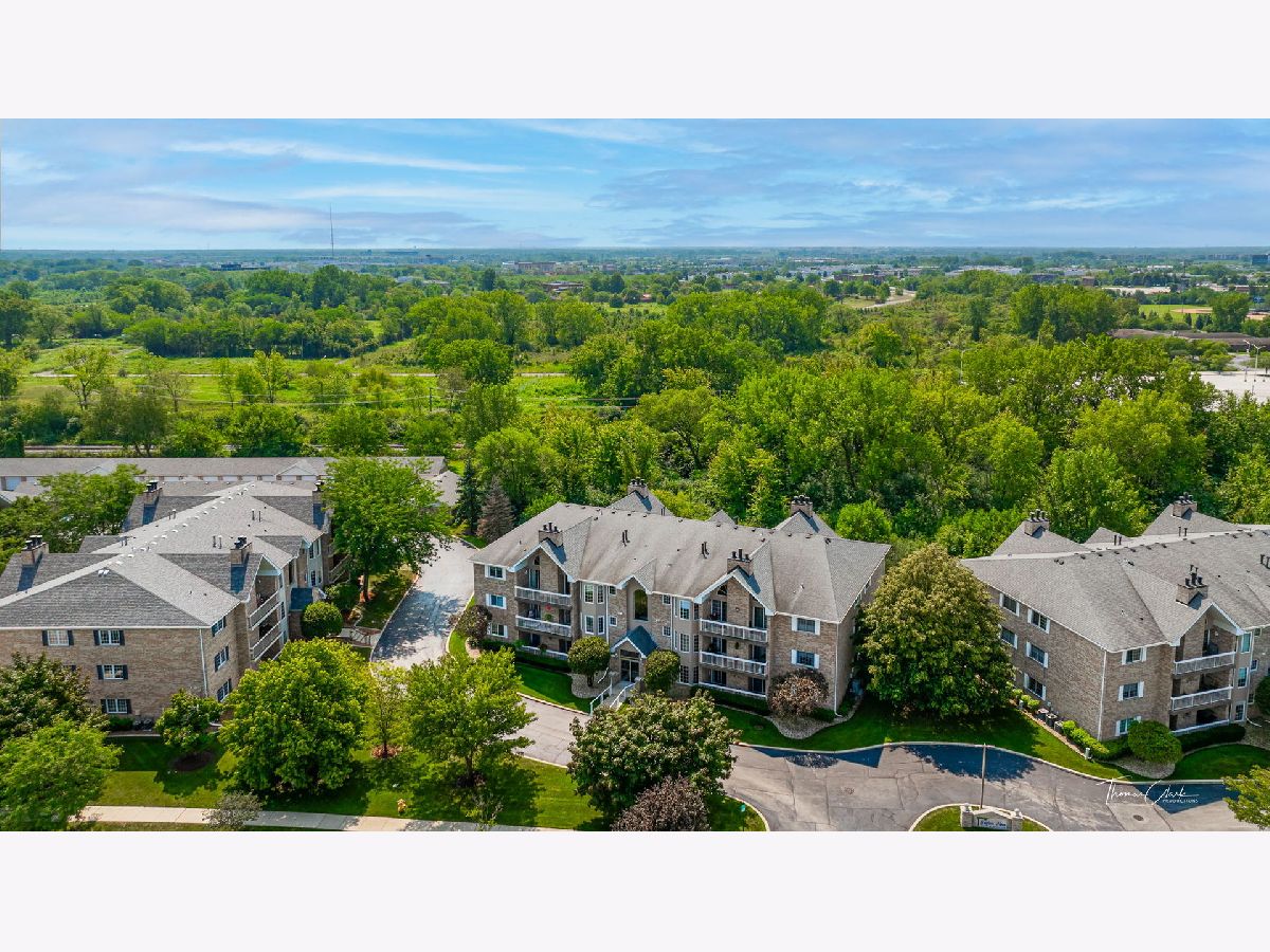 Condominiums Sold Grafton Place Tinley Park Illinois, 7787 Bristol Park