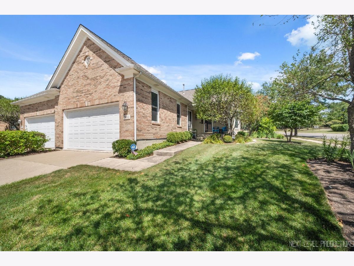 Condos & Townhomes Sold Ginger Lane Geneva Illinois, 981 Ginger