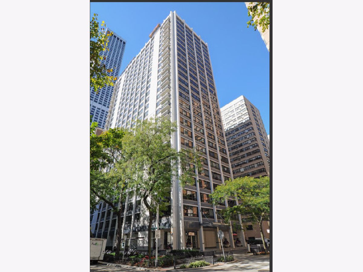 Condominiums Rented Pearson On The Park Chicago Illinois, 222 Pearson