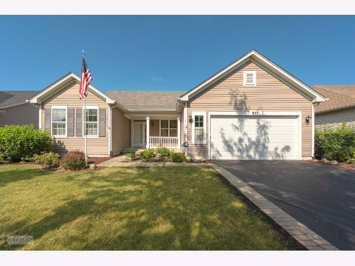 Homes & Condos & Townhomes Sold Steeplechase Oswego Illinois, 517 Homeview