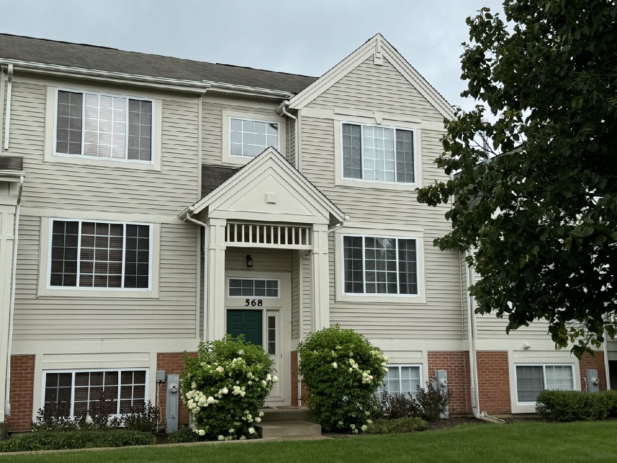 Townhomes & Condos & Homes Rented Cary Woods Cary Illinois, 568 Cary Woods