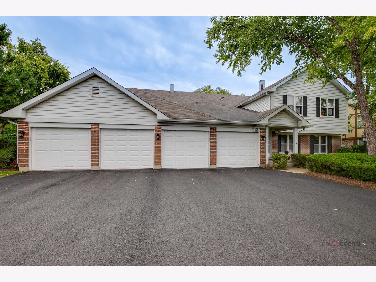 Condos & Townhomes Sold Lake Park Manor Vernon Hills Illinois, 172 Bluewater