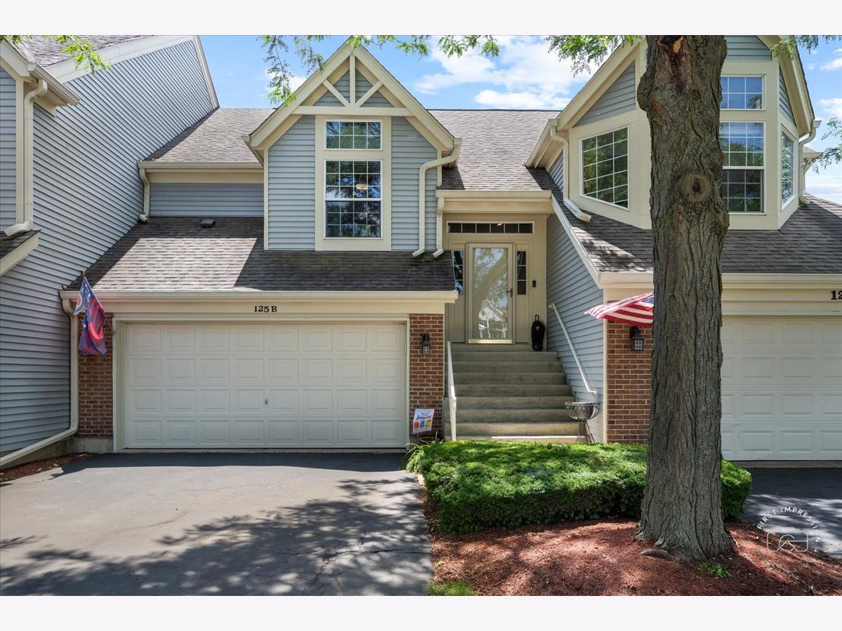 Townhomes Sold Fox Hollow South Elgin Illinois, 125 Ione