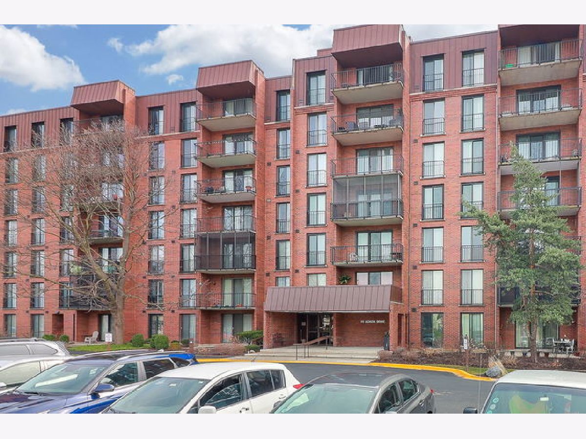 Condominiums Sold Wilshire Green Indian Head Park Illinois, 111 Acacia