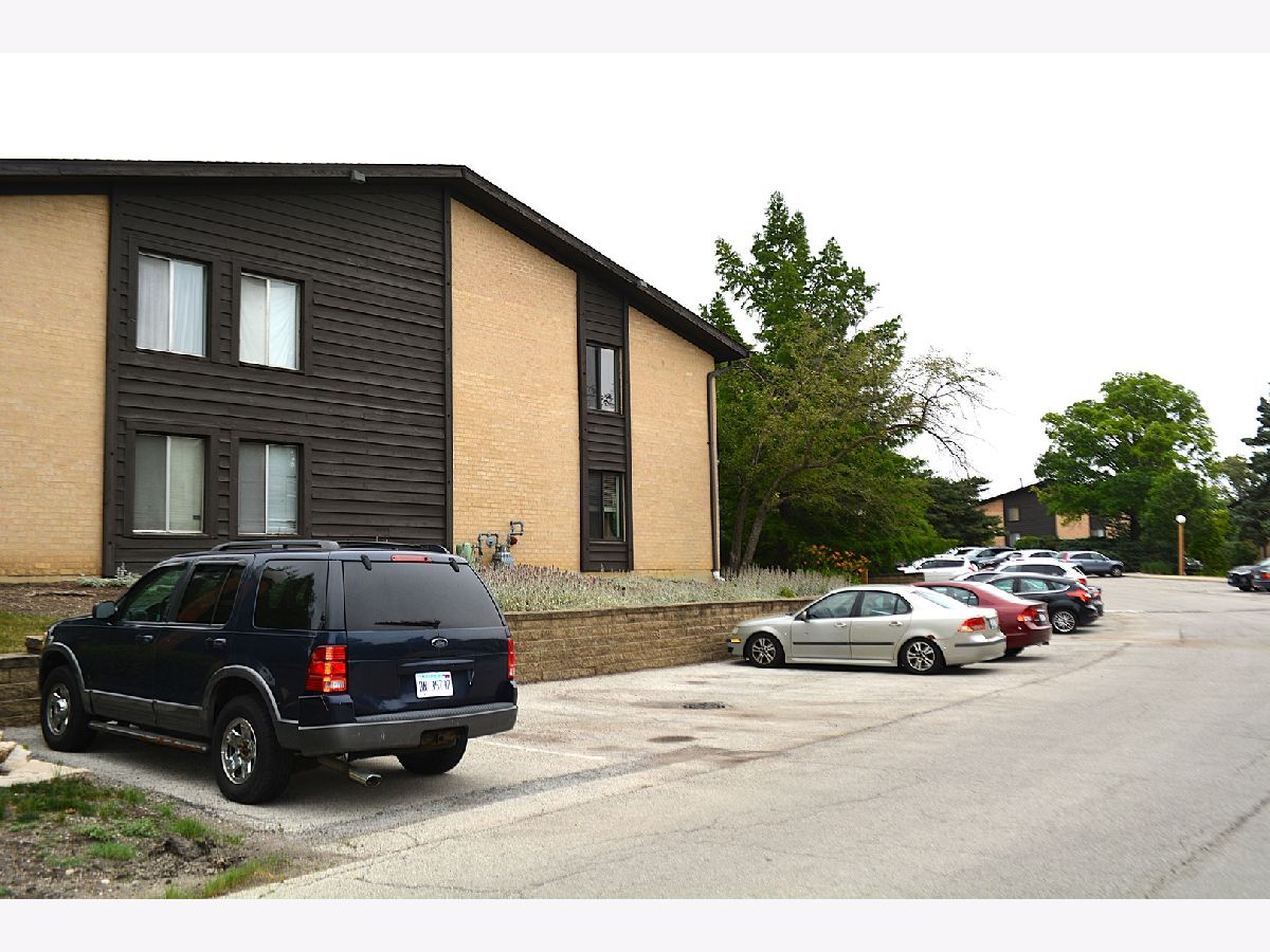 Condominiums Rented The Knolls Willowbrook Illinois, 6173 Knoll Lane