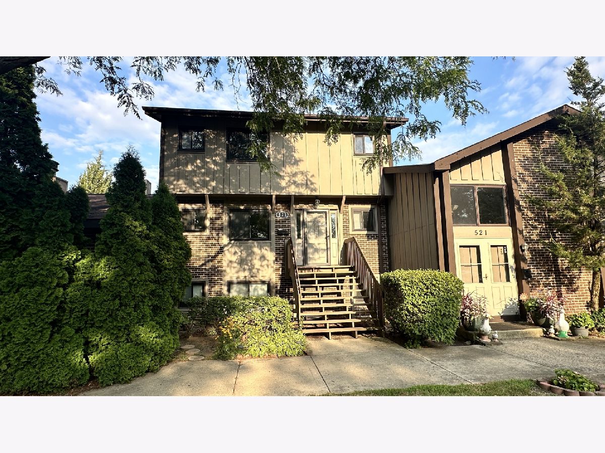 Townhomes & Condos & Homes Rented Ventura 21 Roselle Illinois, 523 Club House