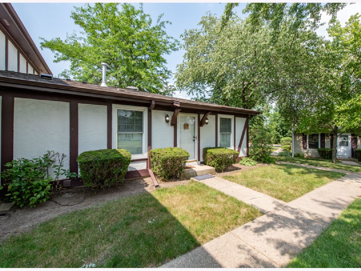 Townhomes & Condos & Homes Sold Plymouth Farms Vernon Hills Illinois, 311 Meadow