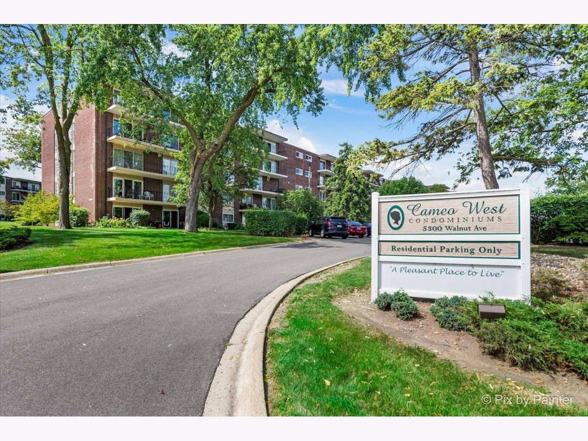 Condominiums Sold Cameo West Downers Grove Illinois, 5300 Walnut