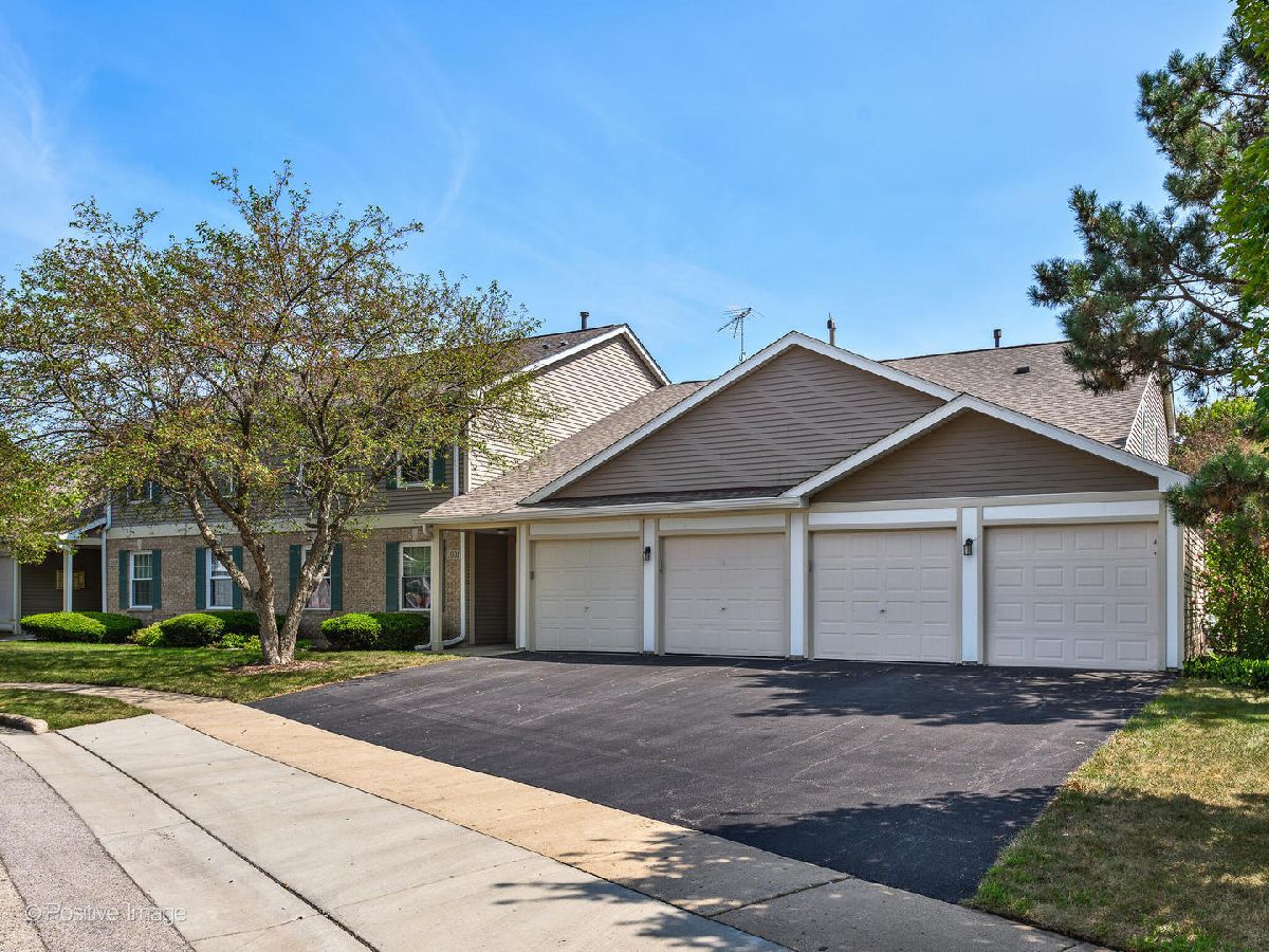 Condos & Townhomes Sold Oakwood Hills Elgin Illinois, 1001 Radclyffe