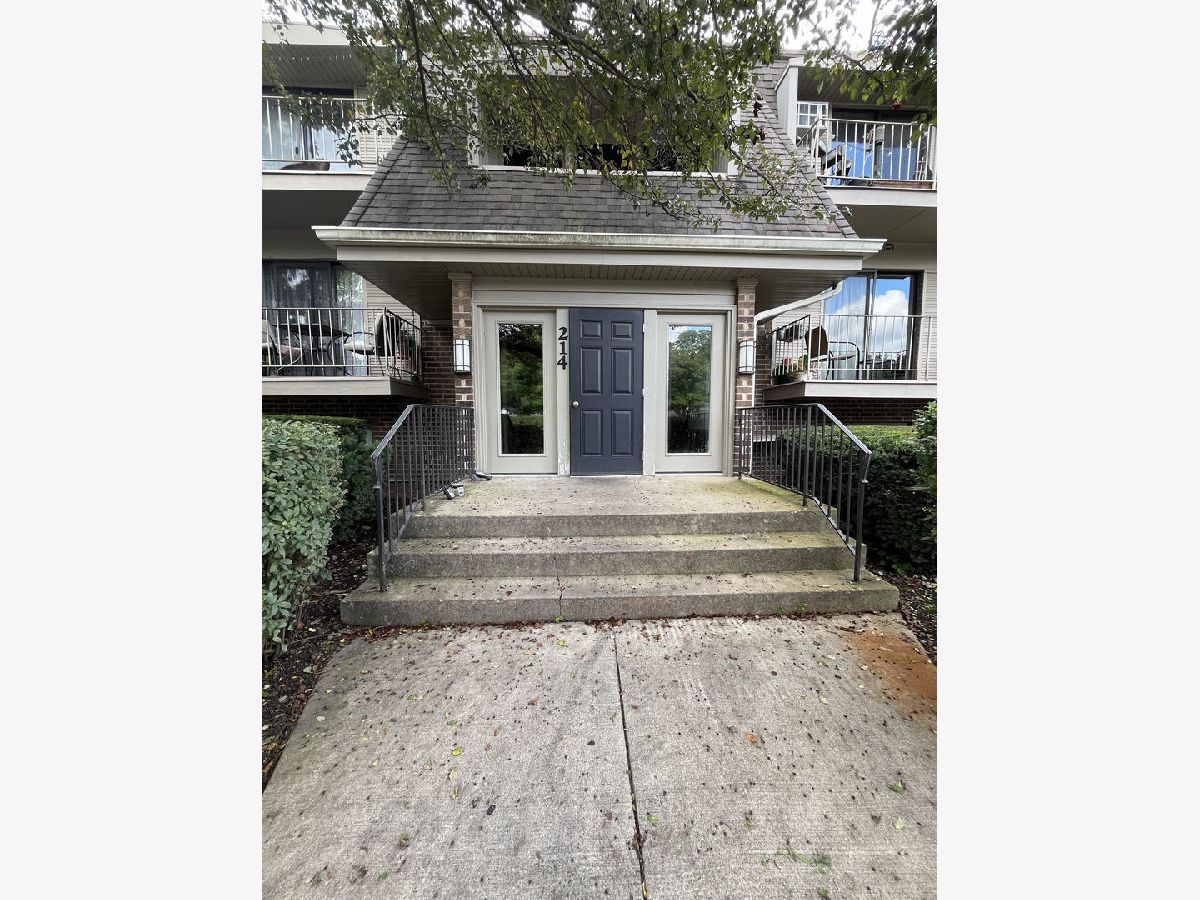 Condominiums Rented Olive Trees Naperville Illinois, 214 Bailey