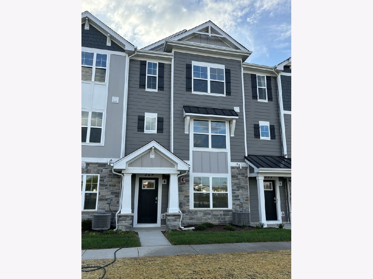 Condos & Townhomes Rented Charlestowne Lakes St Charles Illinois, 329 Basin