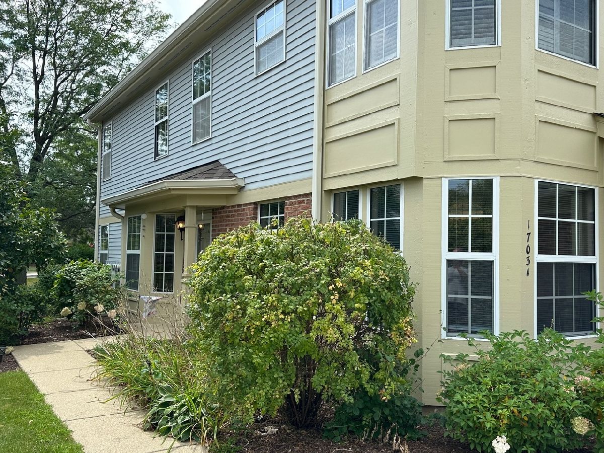 Townhomes & Condos & Homes Sold Essex Village Crystal Lake Illinois, 1703 Pearl