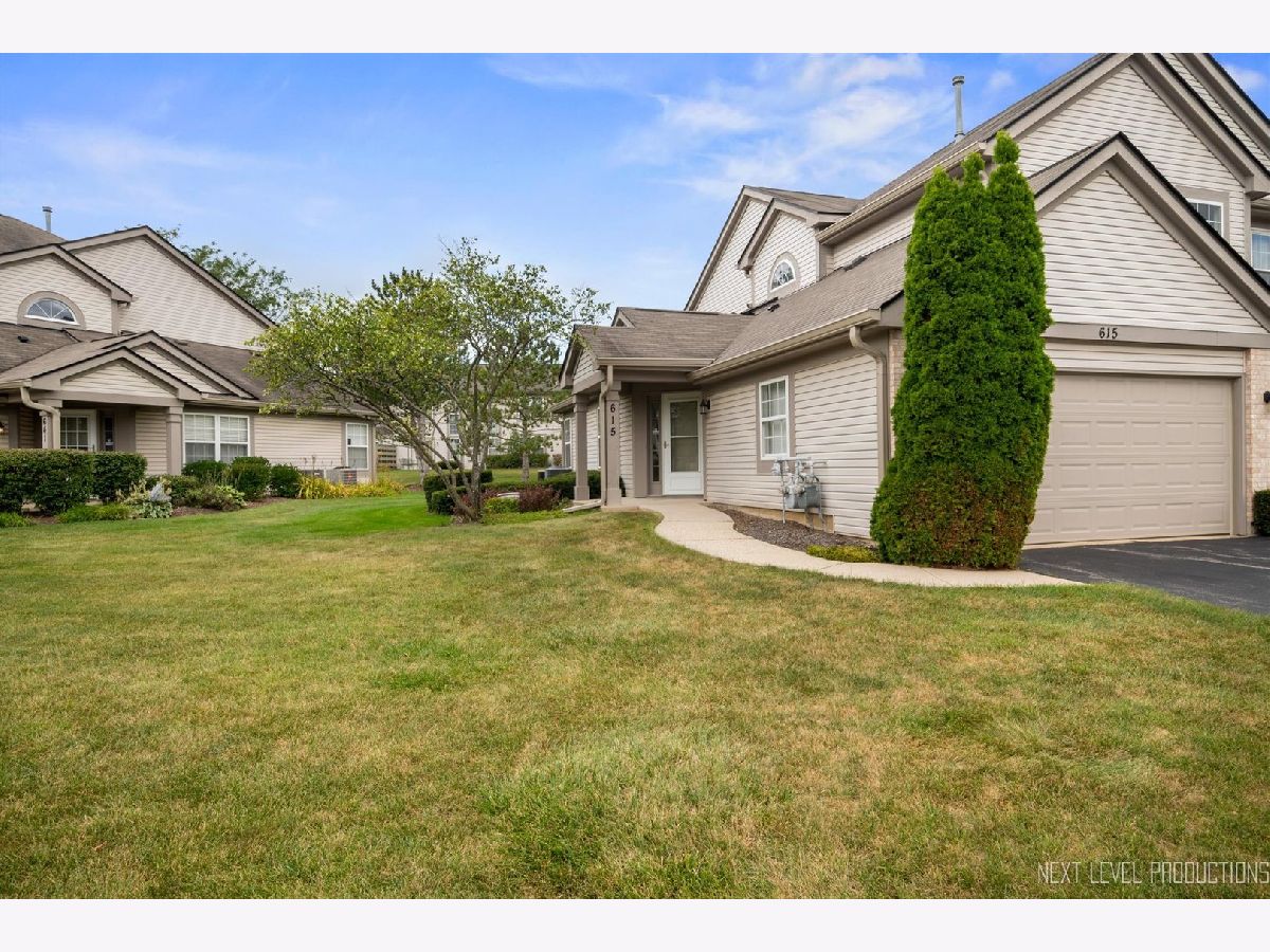 Townhomes & Homes Sold Woodbridge Elgin Illinois, 615 Lancaster