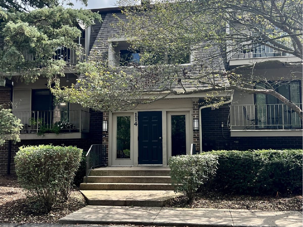 Condominiums Sold Olive Trees Naperville Illinois, 114 Bailey