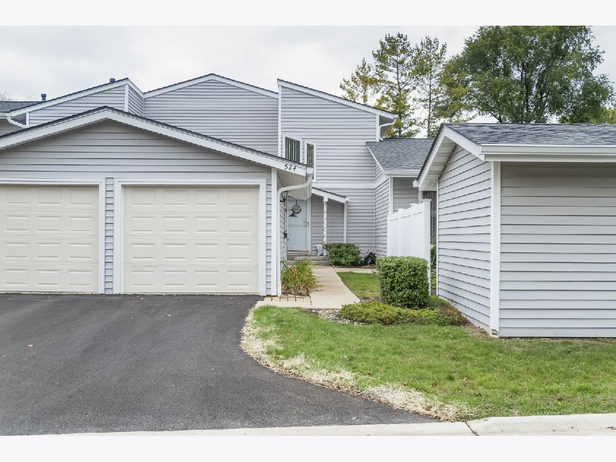 Homes & Condos & Townhomes Sold Lancer Park Schaumburg Illinois, 524 Queens