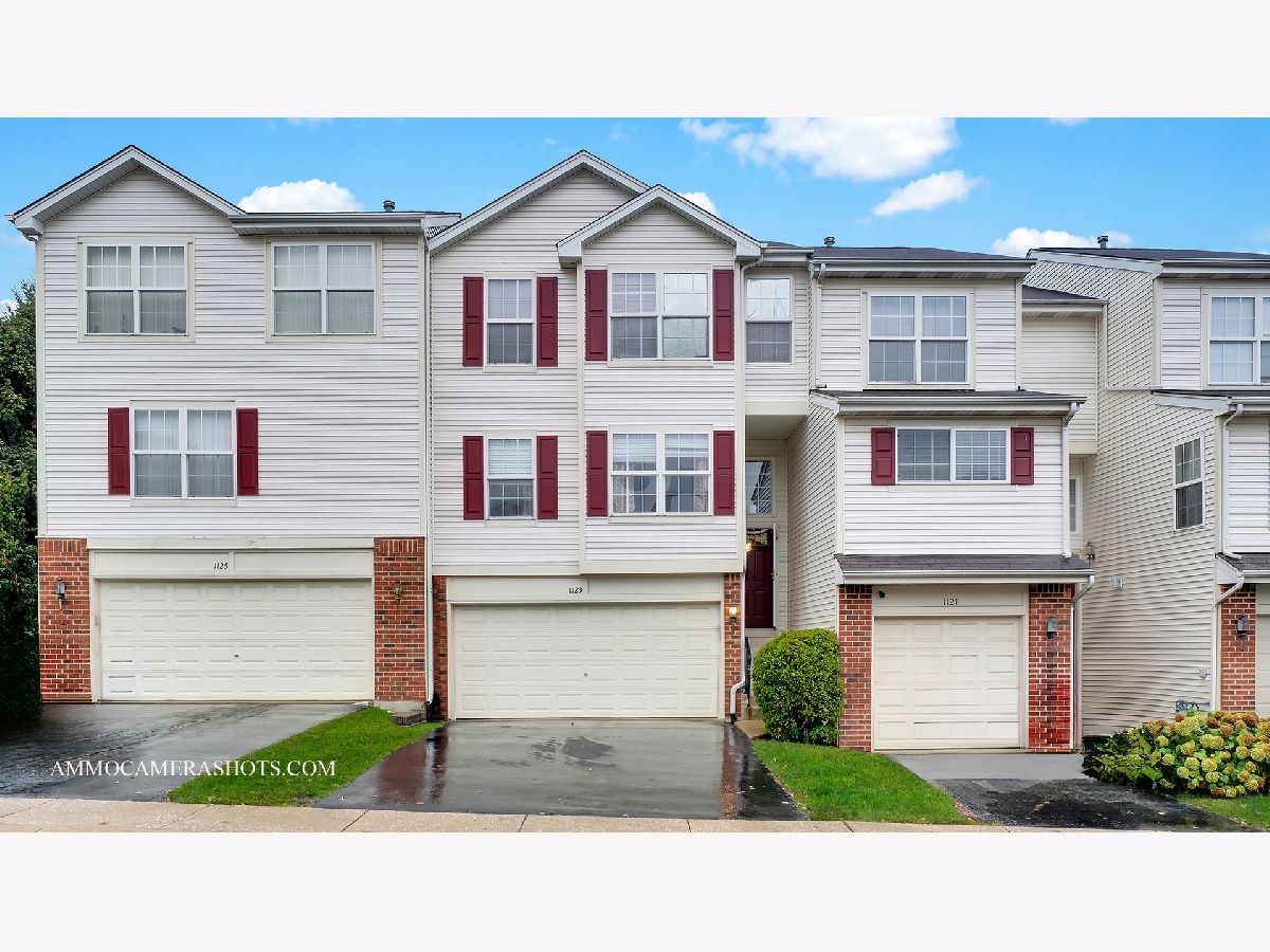 Townhomes Sold Villas Of Red Oaks Glendale Heights Illinois, 1123 Shorewood