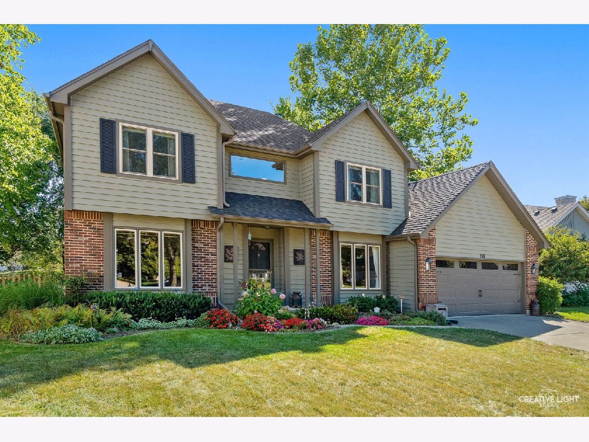 Homes & Condos & Townhomes Sold Mill Race Creek Oswego Illinois, 229 Ashley