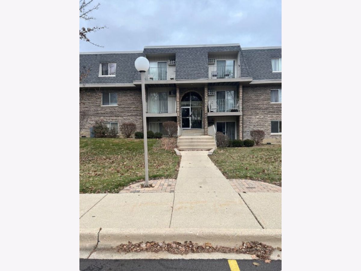 Condominiums Sold River Trails Prospect Heights Illinois, 984 Crabapple