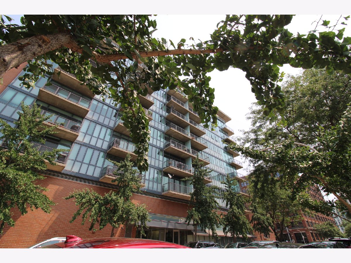 Condominiums Rented Lofthaus Chicago Illinois, 321 Sangamon