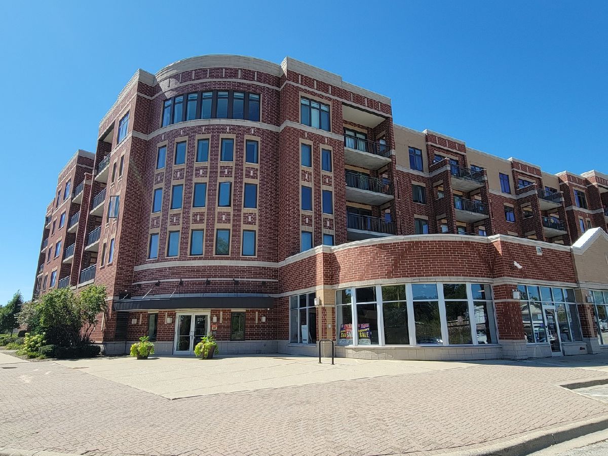 Condominiums Sold Park Street Crossing Roselle Illinois, 225 Main