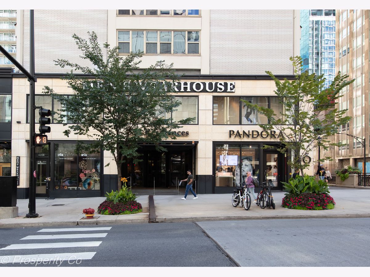 Condos & Townhomes Rented Streeterville Chicago Illinois, 535 Michigan