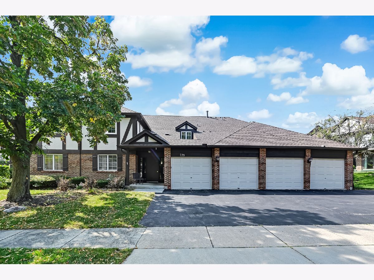 Condominiums Sold Stanhope Square Willowbrook Illinois, 239 Brookside