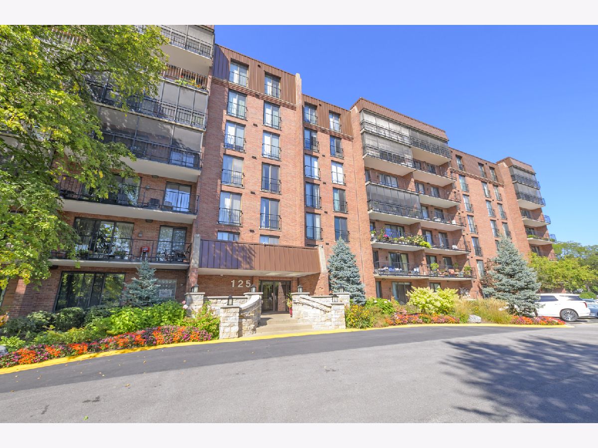 Condominiums Sold Wilshire Green Indian Head Park Illinois, 125 Acacia