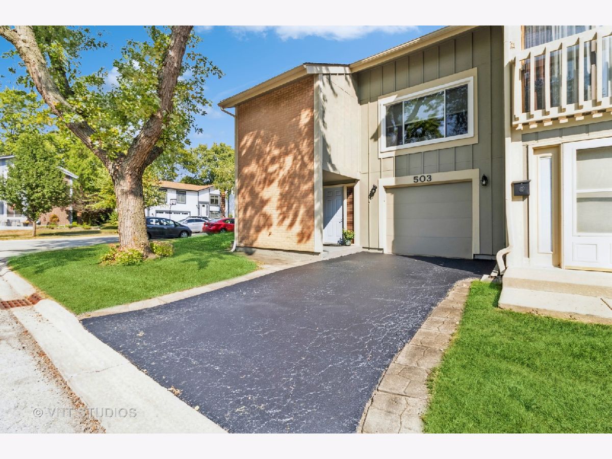 Townhomes & Condos & Homes Sold The Trails Roselle Illinois, 503 Canterbury