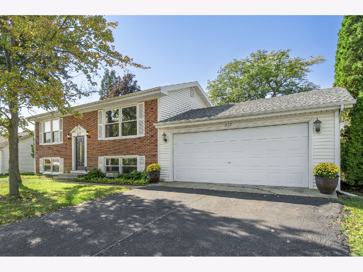 Homes & Townhomes Sold Cherrywood Bolingbrook Illinois, 217 Lafayette