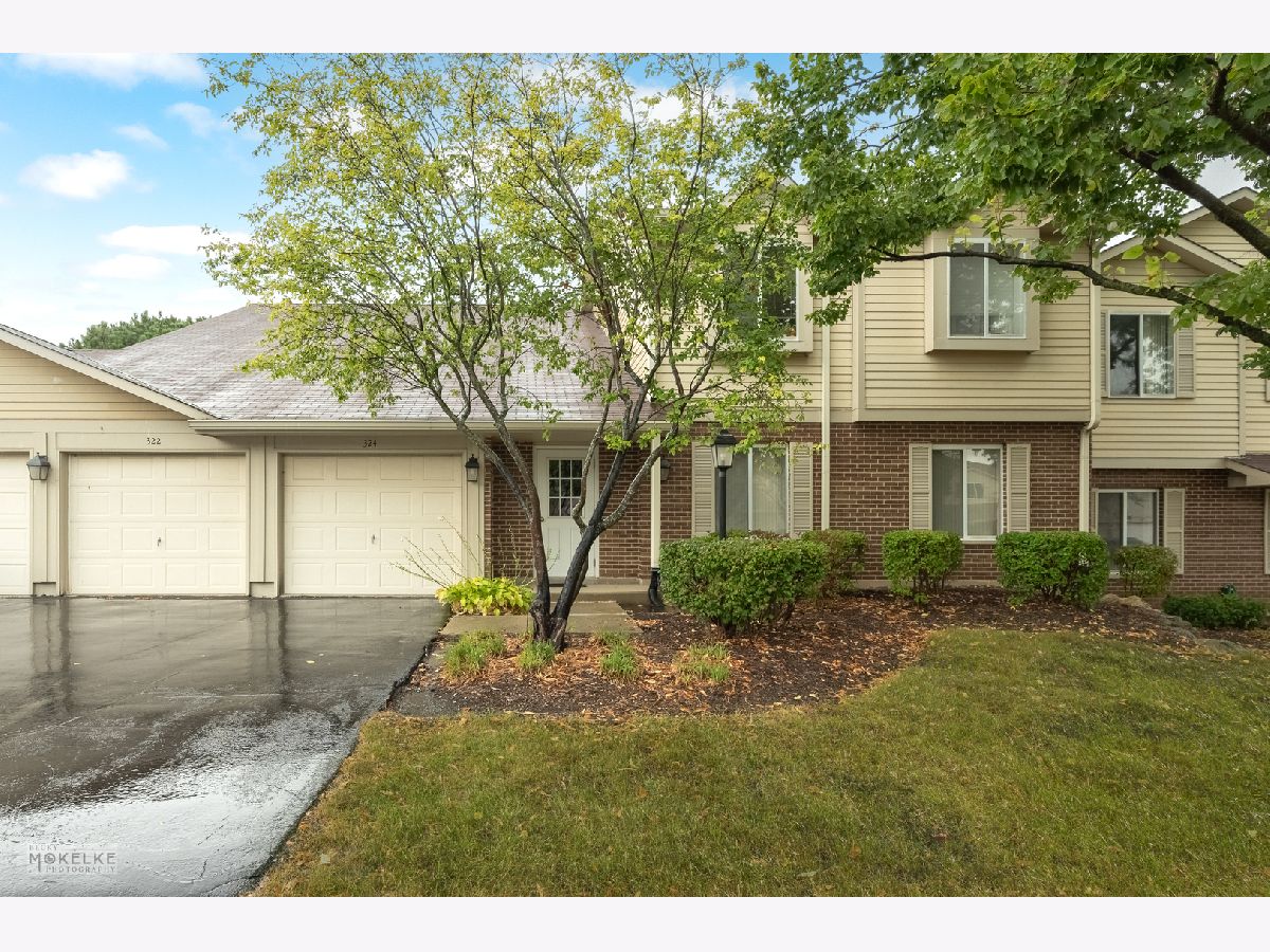 Condos & Townhomes & Homes Sold Springlake Aurora Illinois, 316 Sandpebble