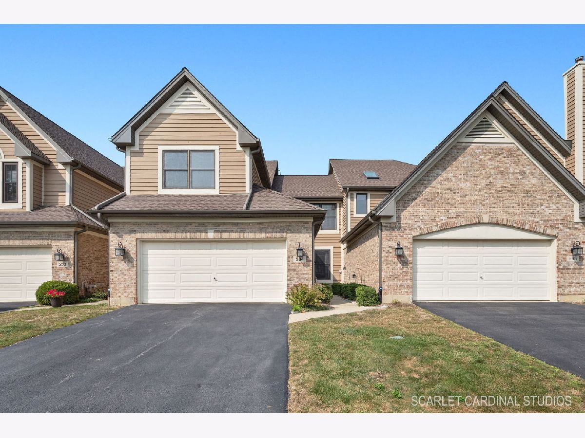 Townhomes & Homes Sold Abbey Woods Lombard Illinois, 534 Rosebud S