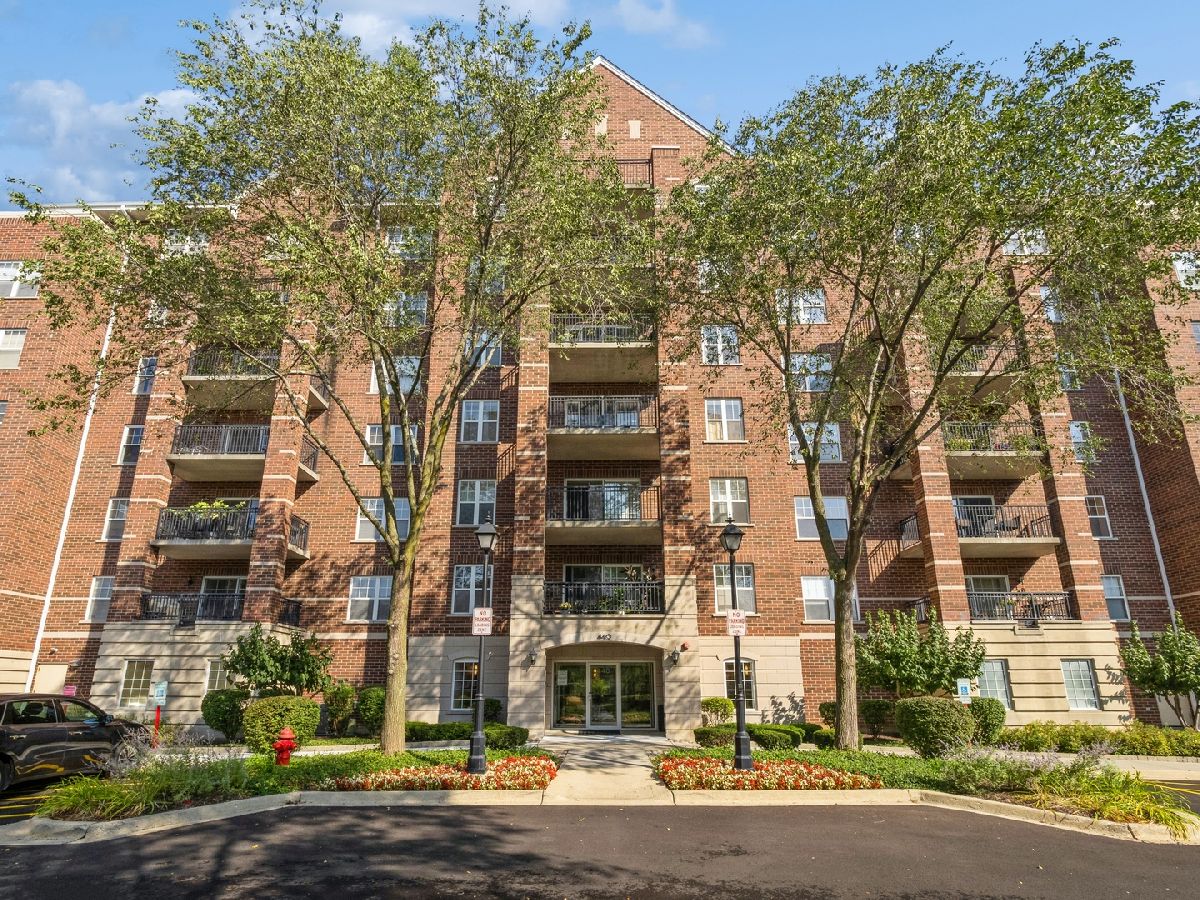 Condos & Townhomes Sold The Groves Of Palatine Palatine Illinois, 440 Mahogany
