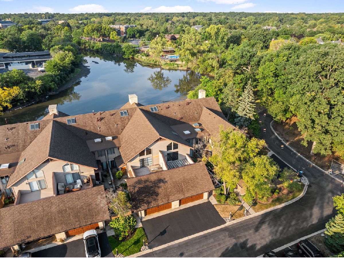 Condos & Townhomes & Homes For Sale Graue Mill Hinsdale Illinois, 1204 Hawthorne Lane