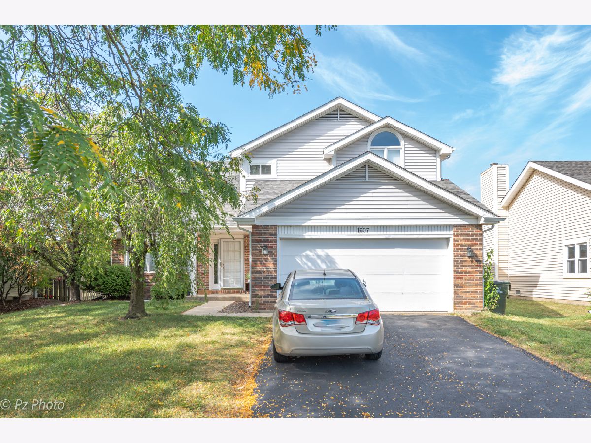 Homes & Townhomes Rented Brookdale Naperville Illinois, 1607 Lois Ann