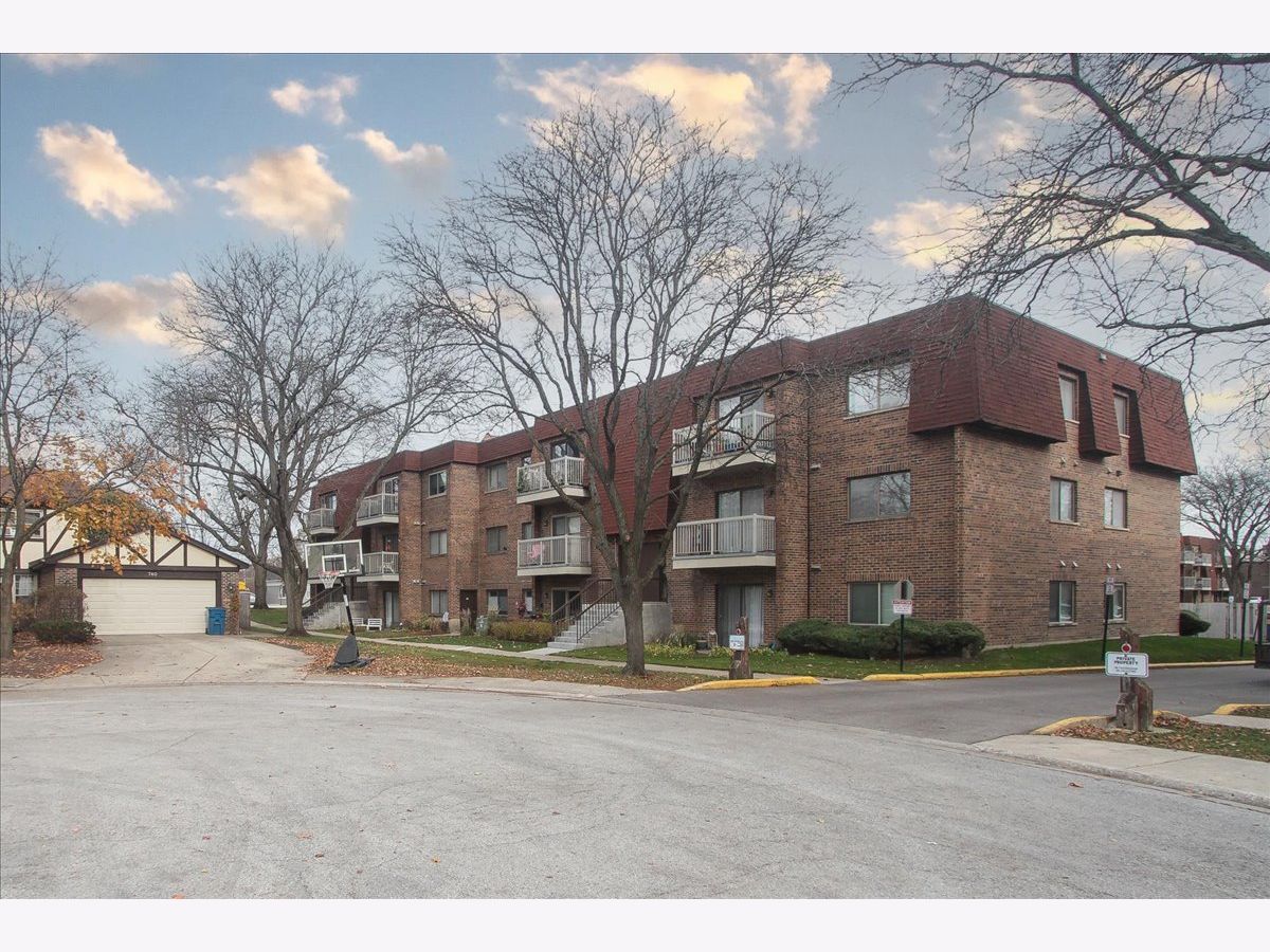 Condominiums Sold Central Village Mount Prospect Illinois, 705 Central