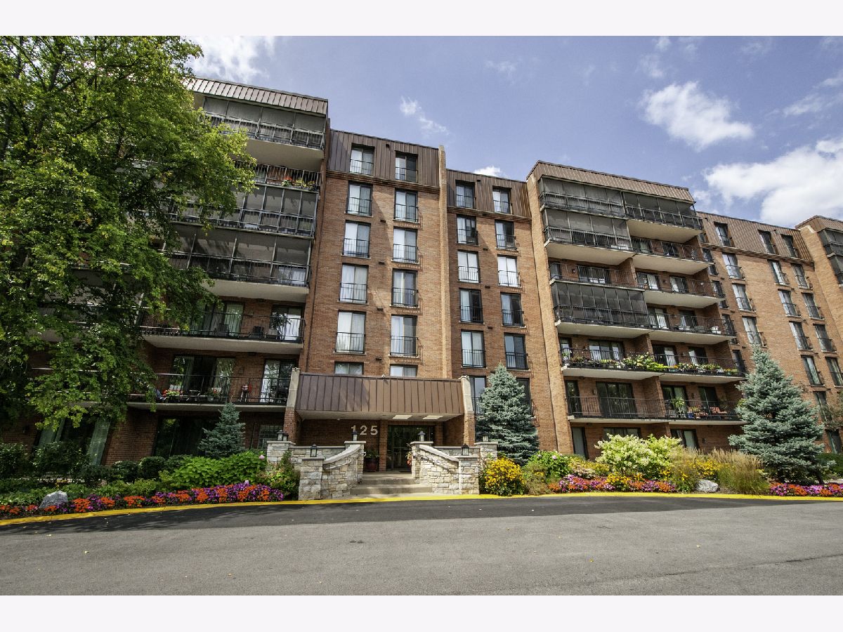 Condominiums Sold Wilshire Green Indian Head Park Illinois, 125 Acacia