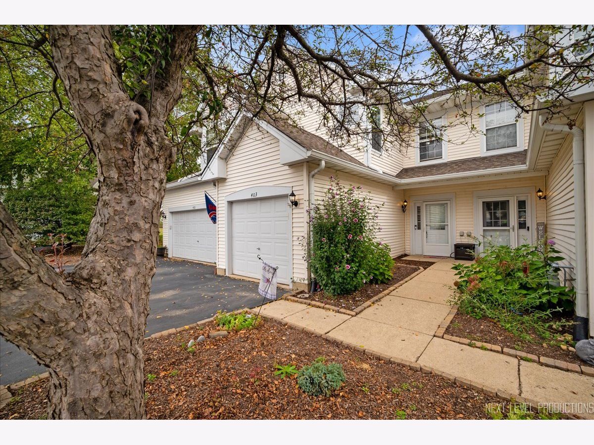 Townhomes Sold Kingsbrook Crossing Oswego Illinois, 403 Canterbury