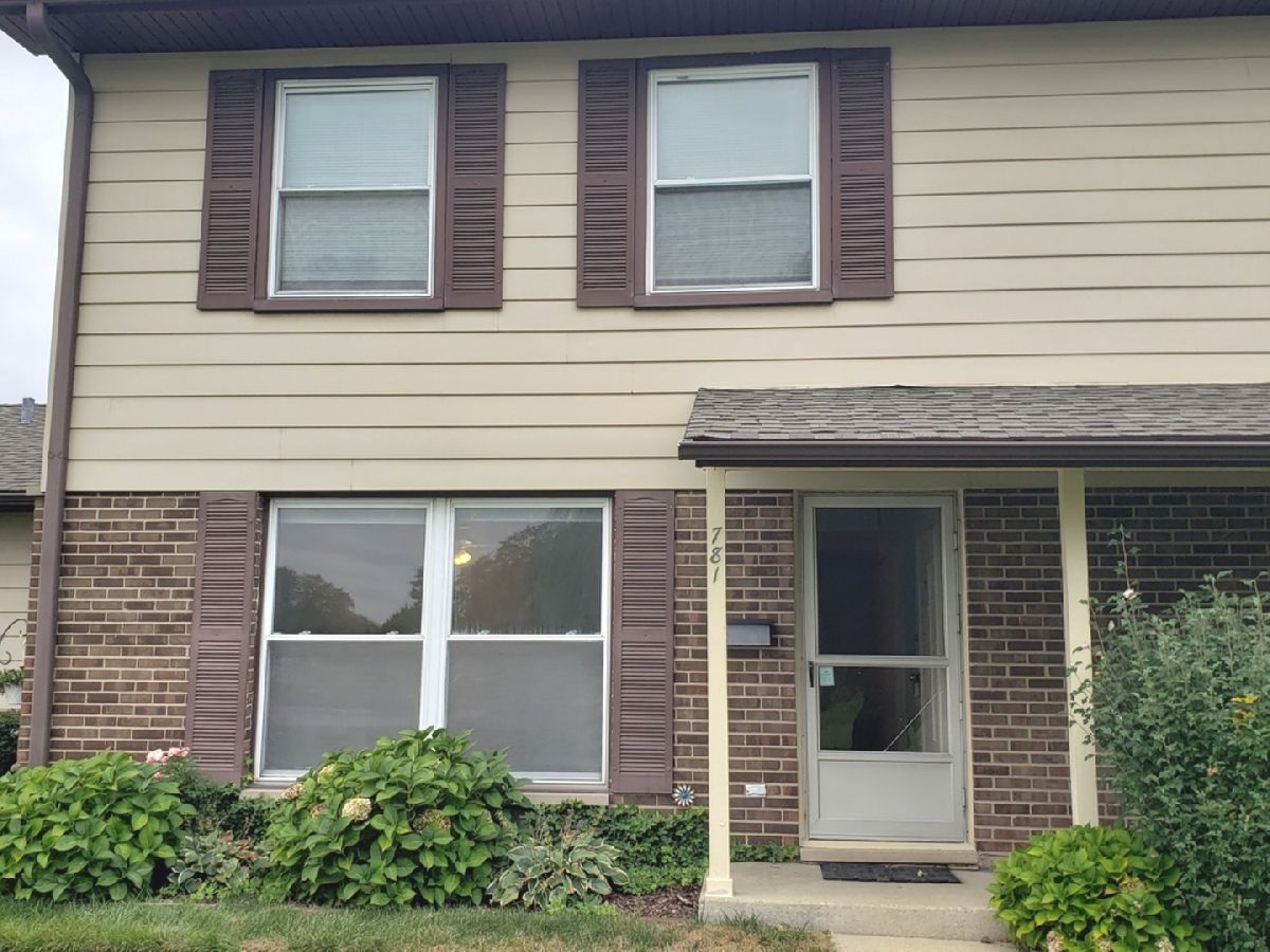 Townhomes & Condos & Homes Sold Elk Grove Estates Elk Grove Village Illinois, 781 Pahl