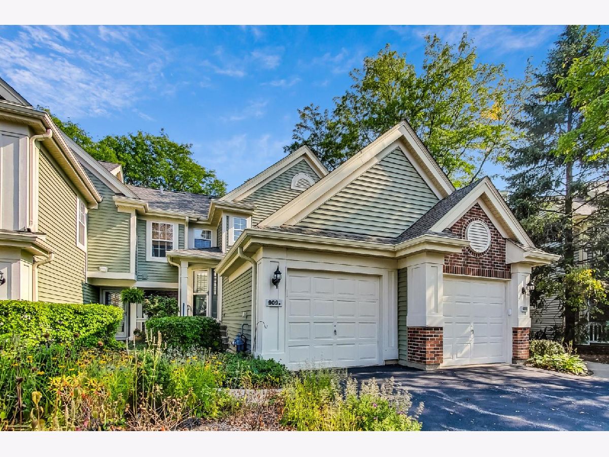 Townhomes & Condos & Homes Sold Talbots Mill Elk Grove Village Illinois, 909A Little Falls