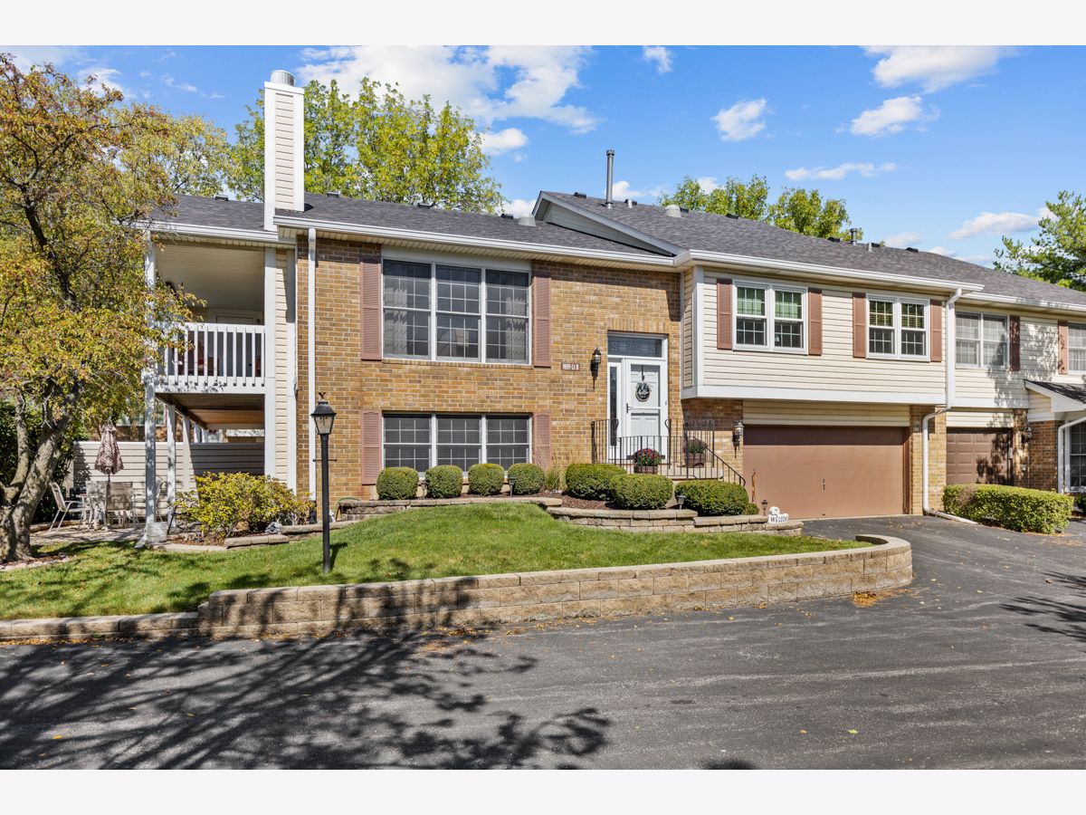 Townhomes Sold Cambridge Place Mokena Illinois, 9859 Cambridge
