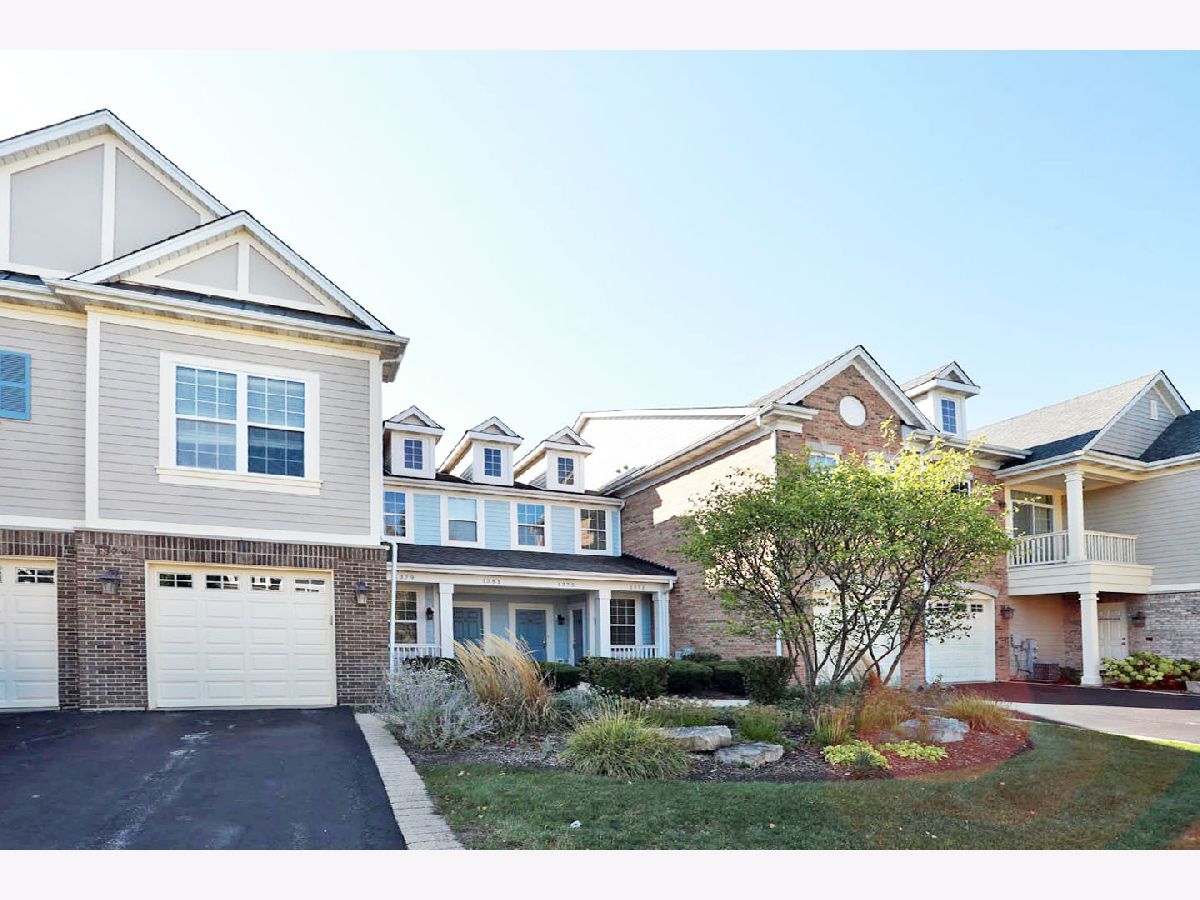 Condos & Townhomes & Homes Rented Lion's Gate Schaumburg Illinois, 1381 Scarboro