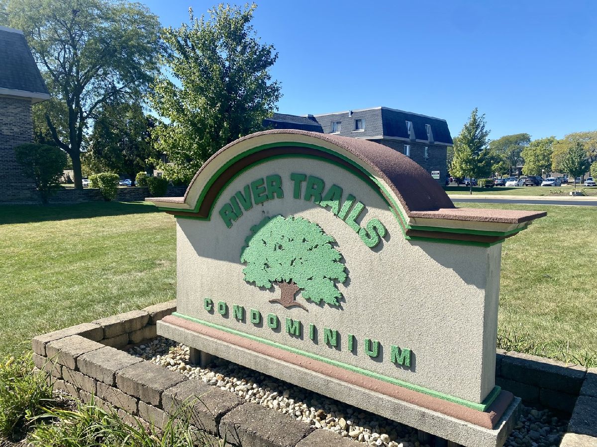 Condominiums Sold River Trails Prospect Heights Illinois, 923 Jonathon