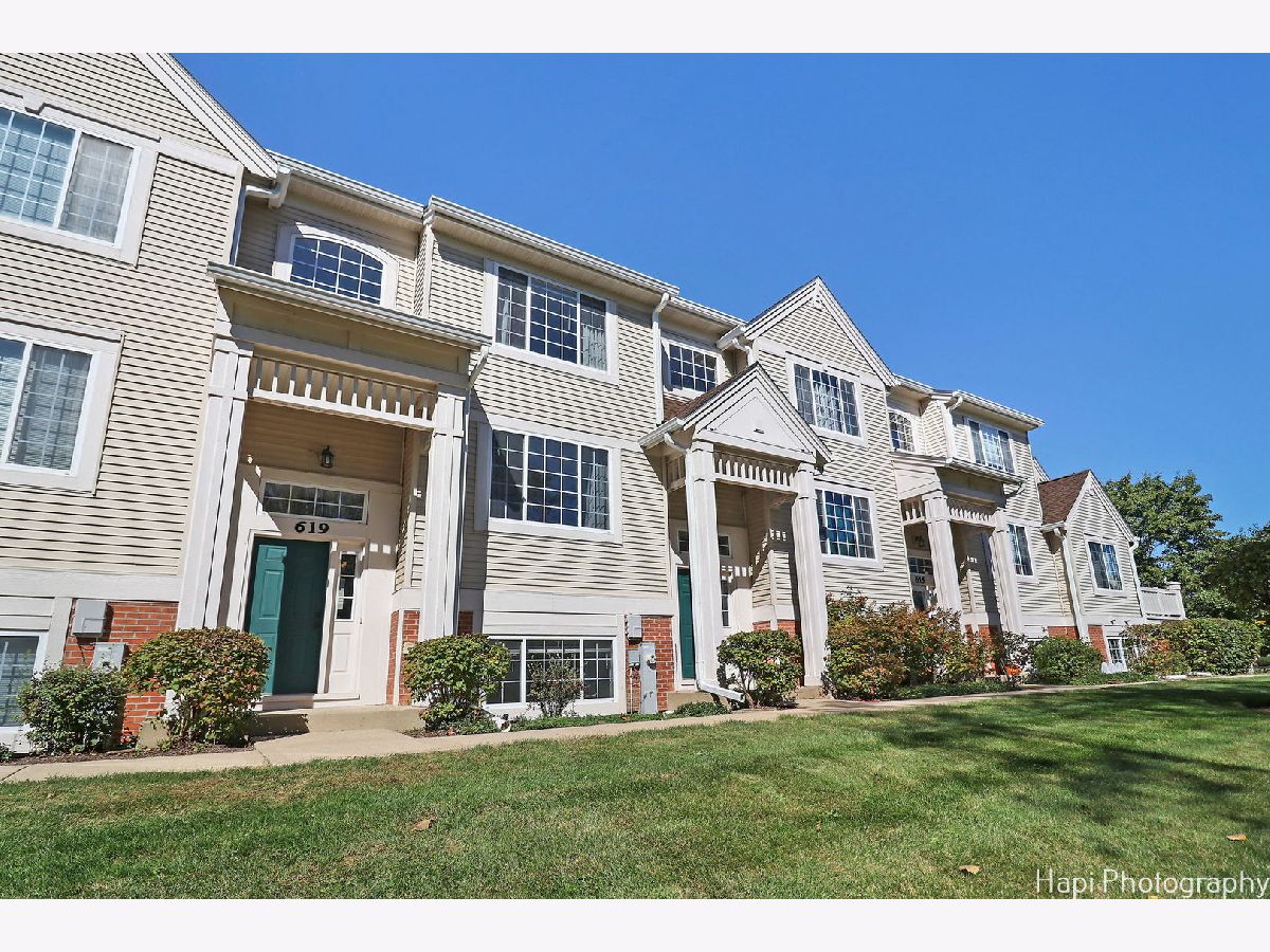 Townhomes & Condos & Homes Rented Cary Woods Cary Illinois, 619 Cary Woods