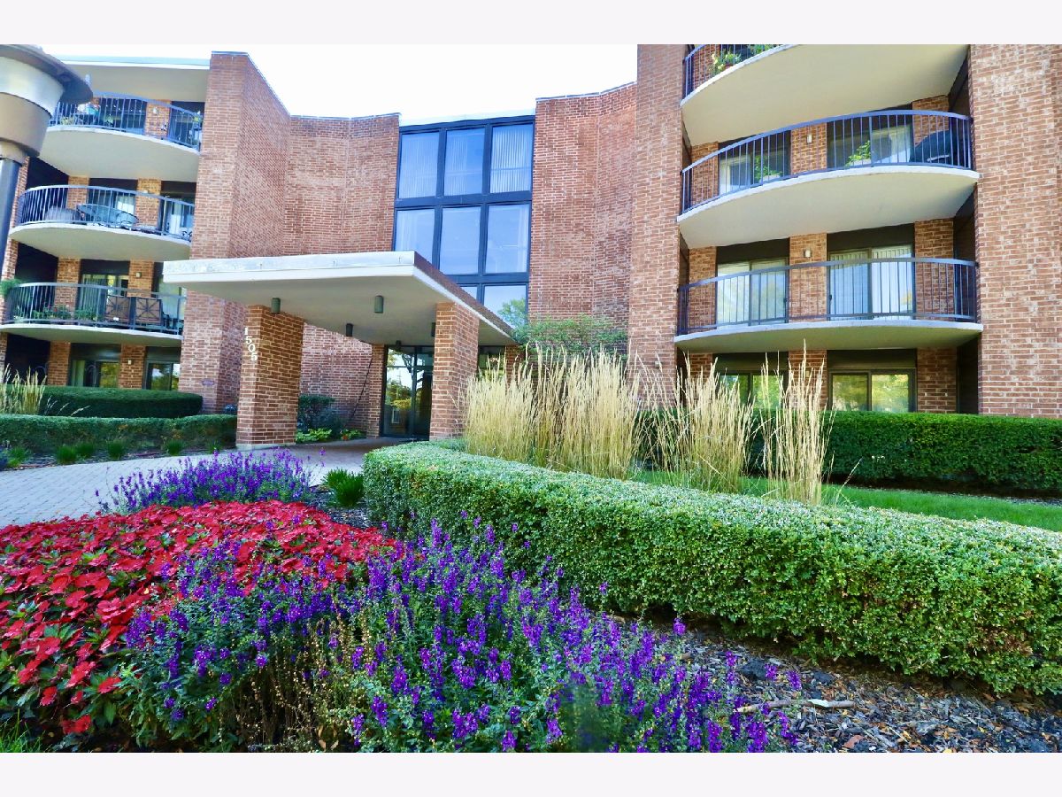 Condominiums Rented Dana Point Arlington Heights Illinois, 1505 Central